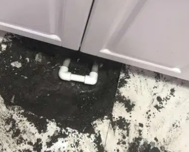 威海查漏水哪家好